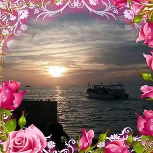 Meet your Posher, Barbara